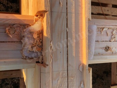 Дом из бруса под ключ в Выборге