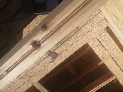 Строительство домов А-фрейм в Борисоглебске